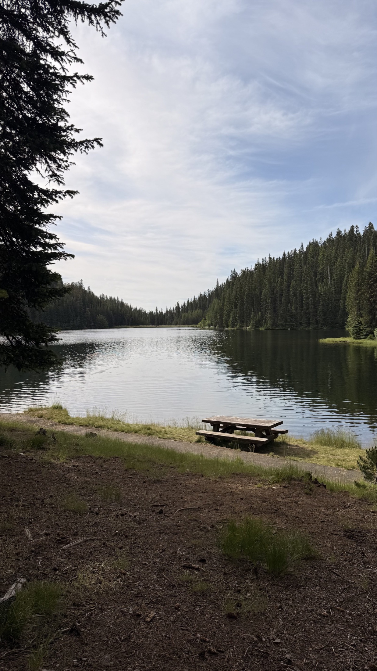 Jubilee Lake and its forested shoreline